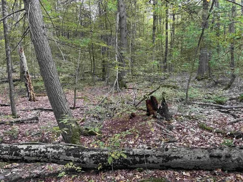 Kurn Hattin Road Westminster VT 05346