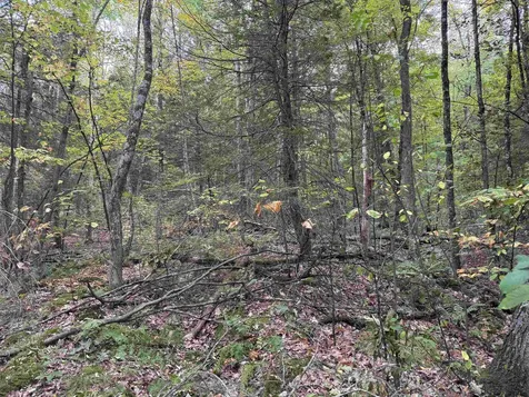 Kurn Hattin Road Westminster VT 05346