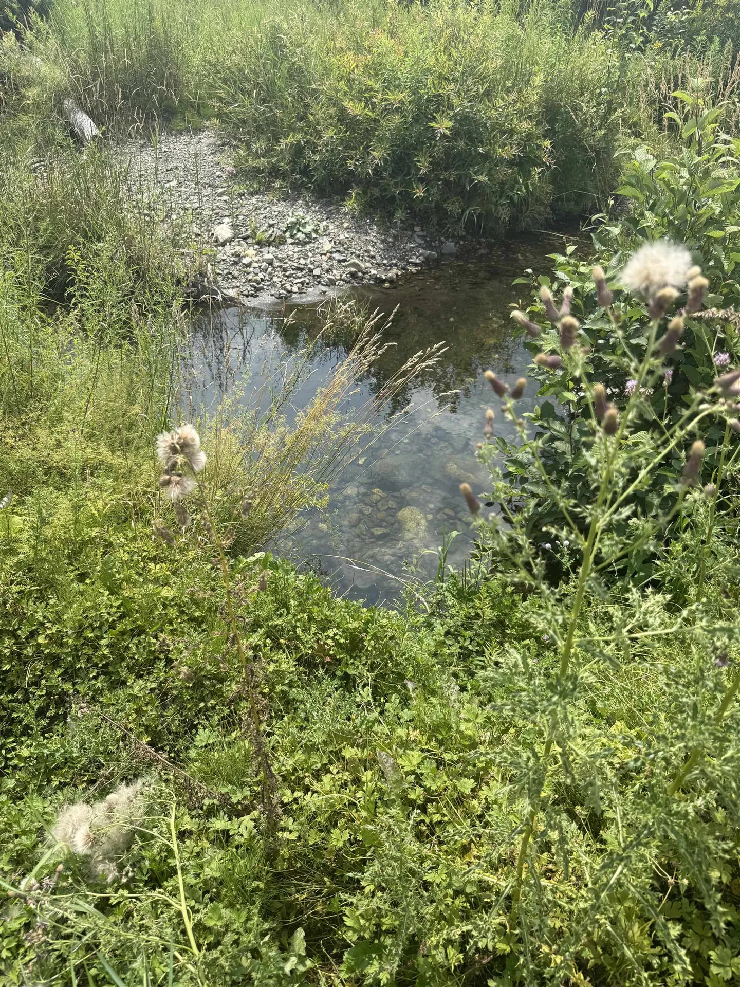 2768 Us Route 2 Cabot VT 05647