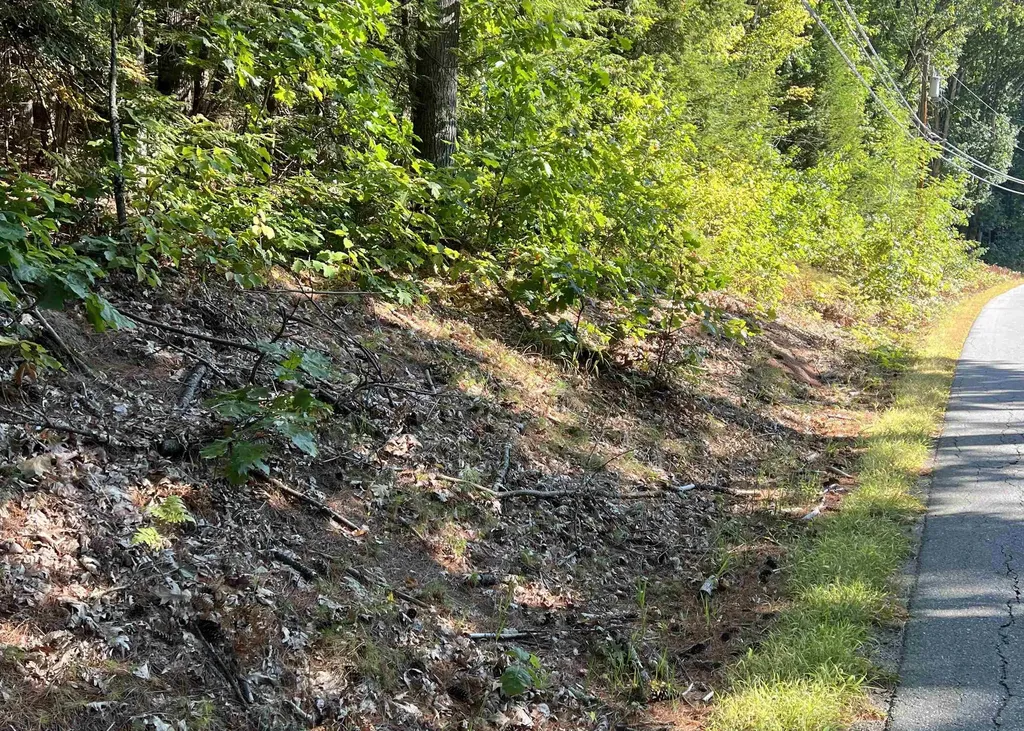 Pine Street Hopkinton NH 03229