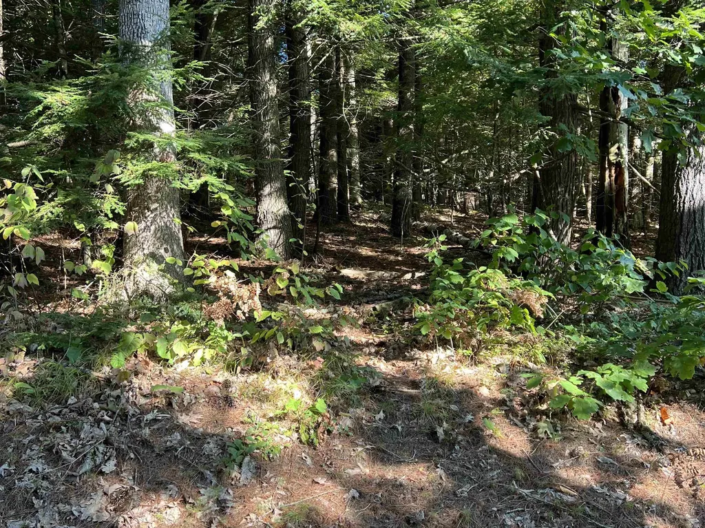 Pine Street Hopkinton NH 03229