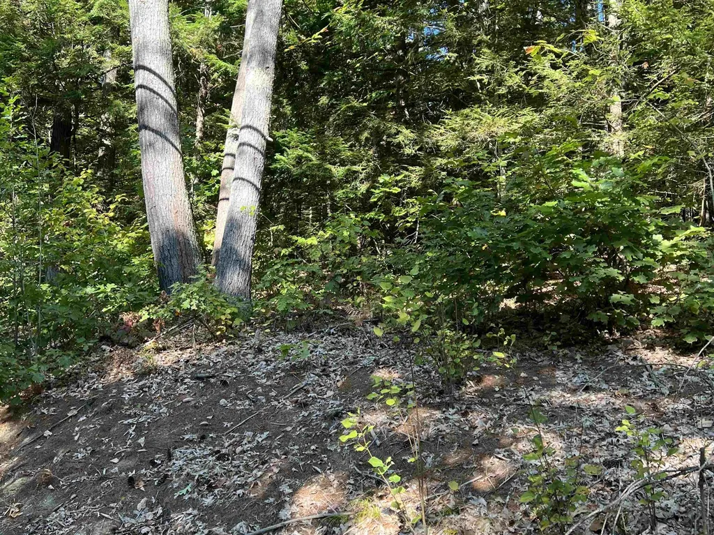 Pine Street Hopkinton NH 03229