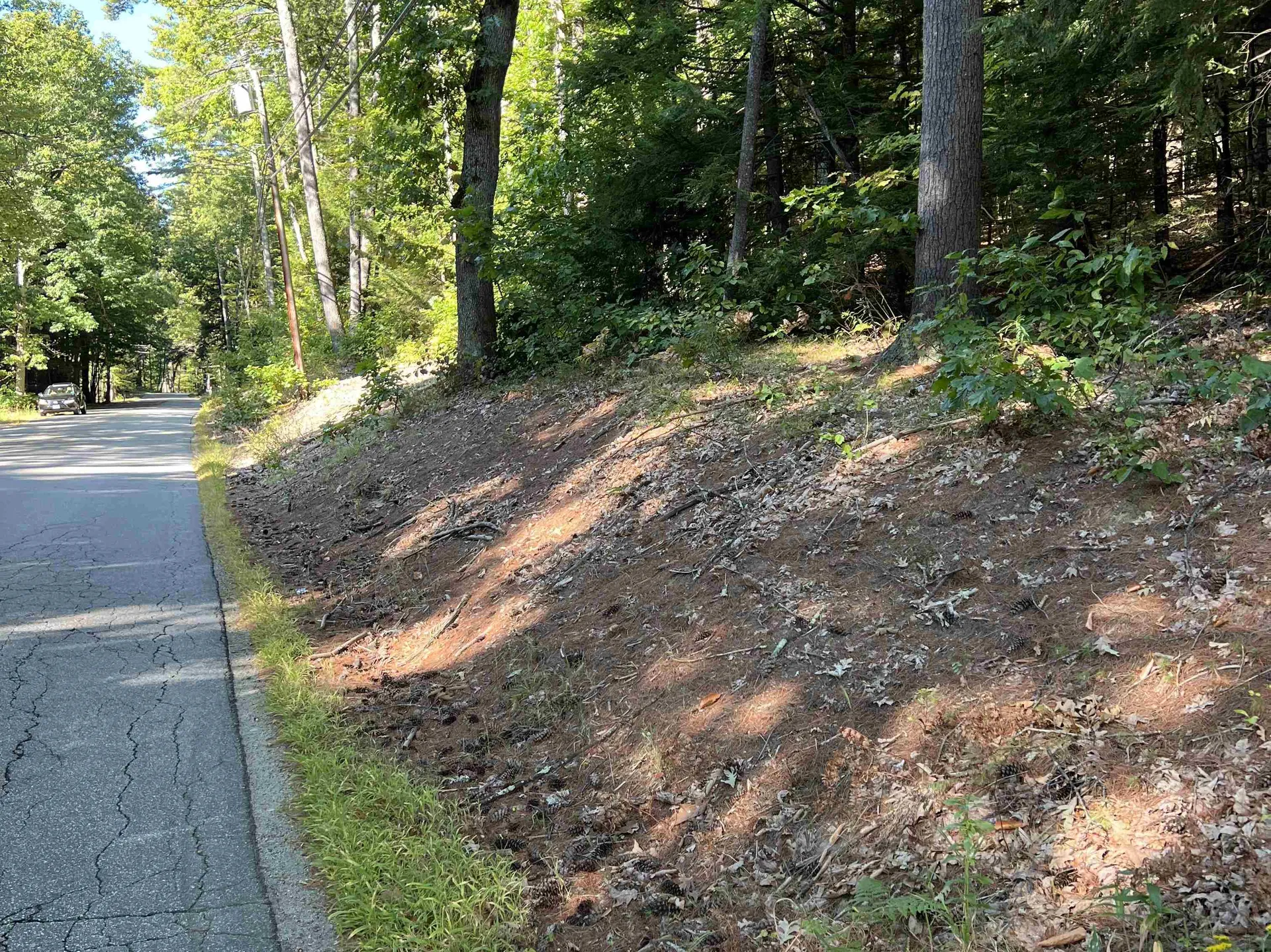 Pine Street Hopkinton NH 03229