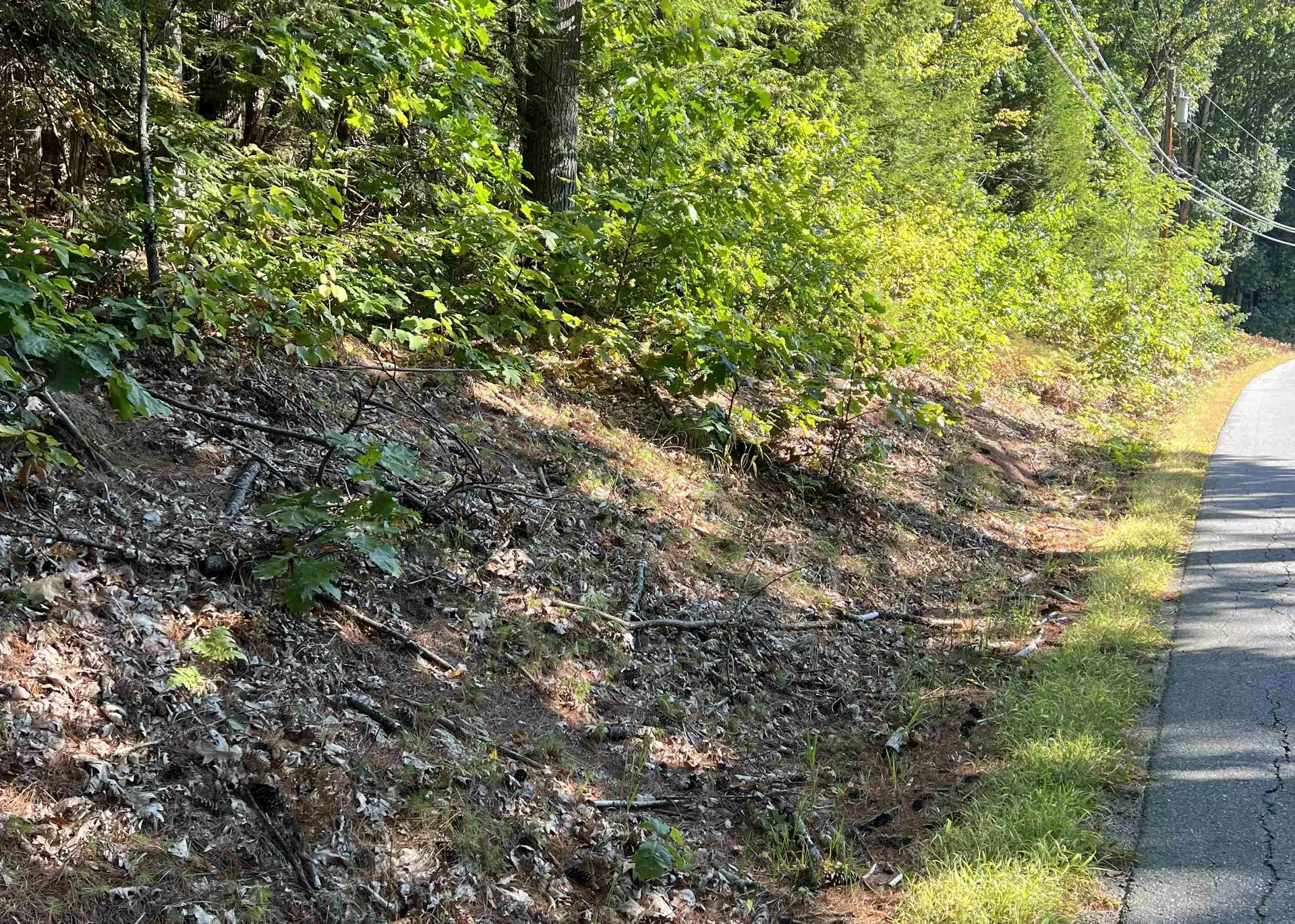 Pine Street Hopkinton NH 03229