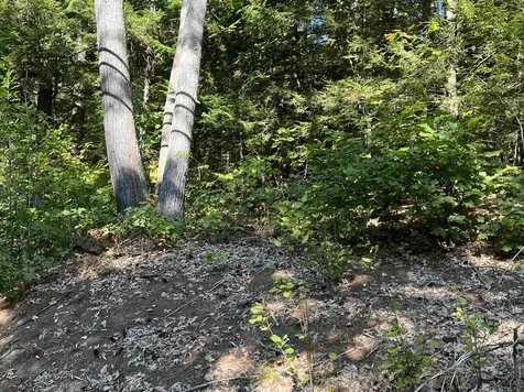 Pine Street Hopkinton NH 03229