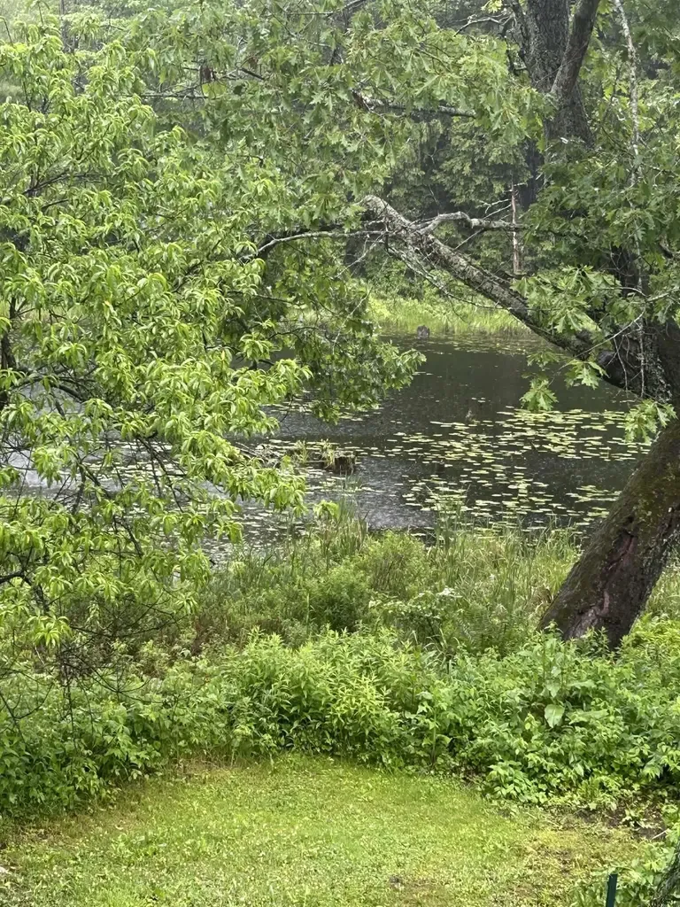 17 Prospect Mountain Road Alton NH 03809