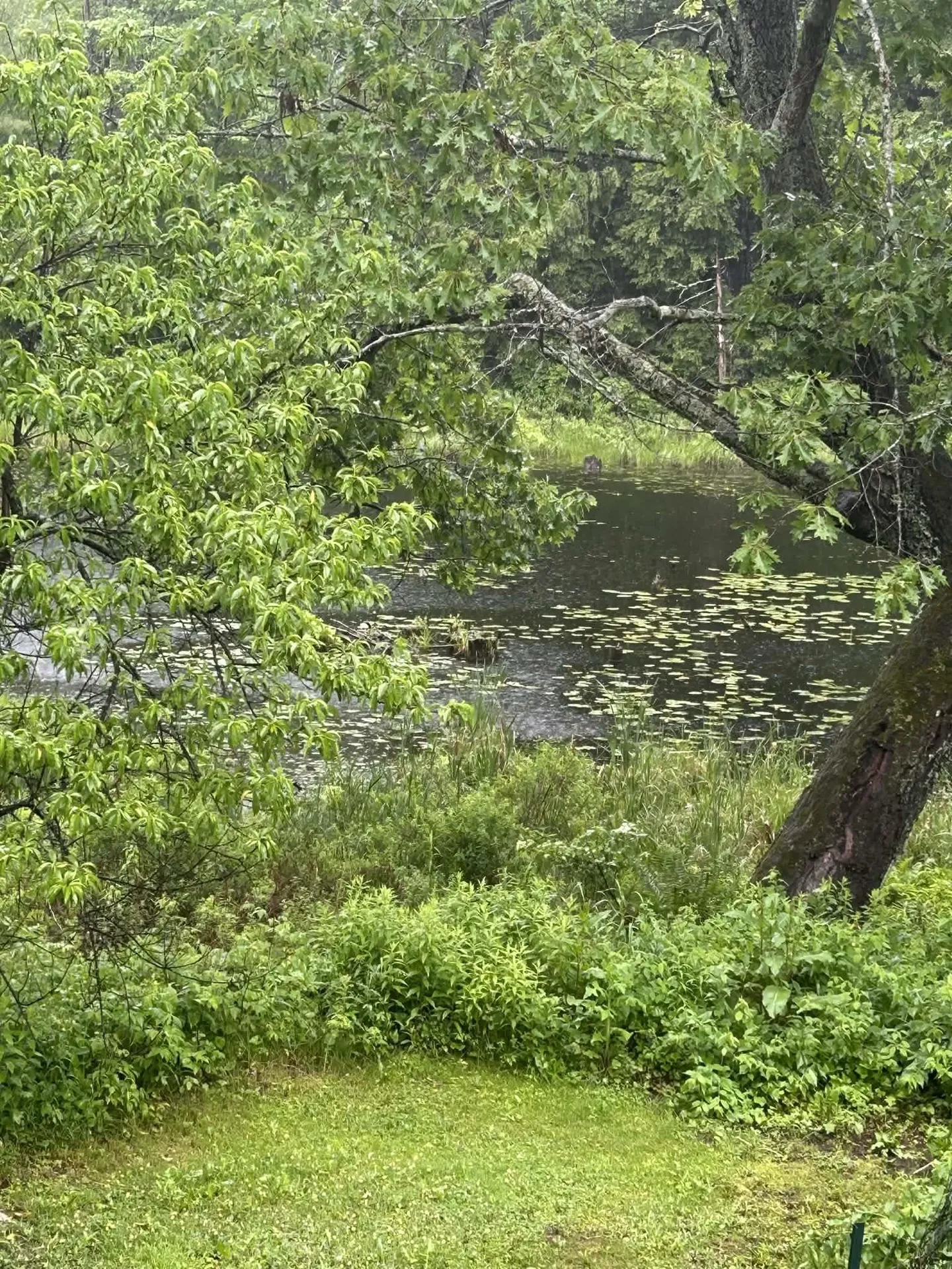 17 Prospect Mountain Road Alton NH 03809