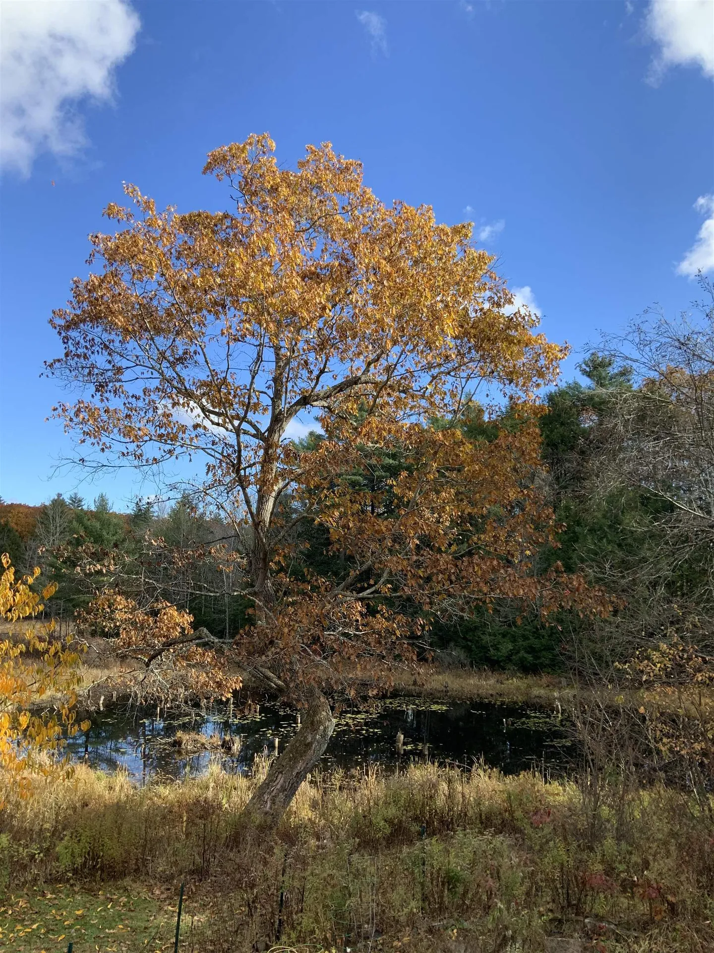 17 Prospect Mountain Road Alton NH 03809
