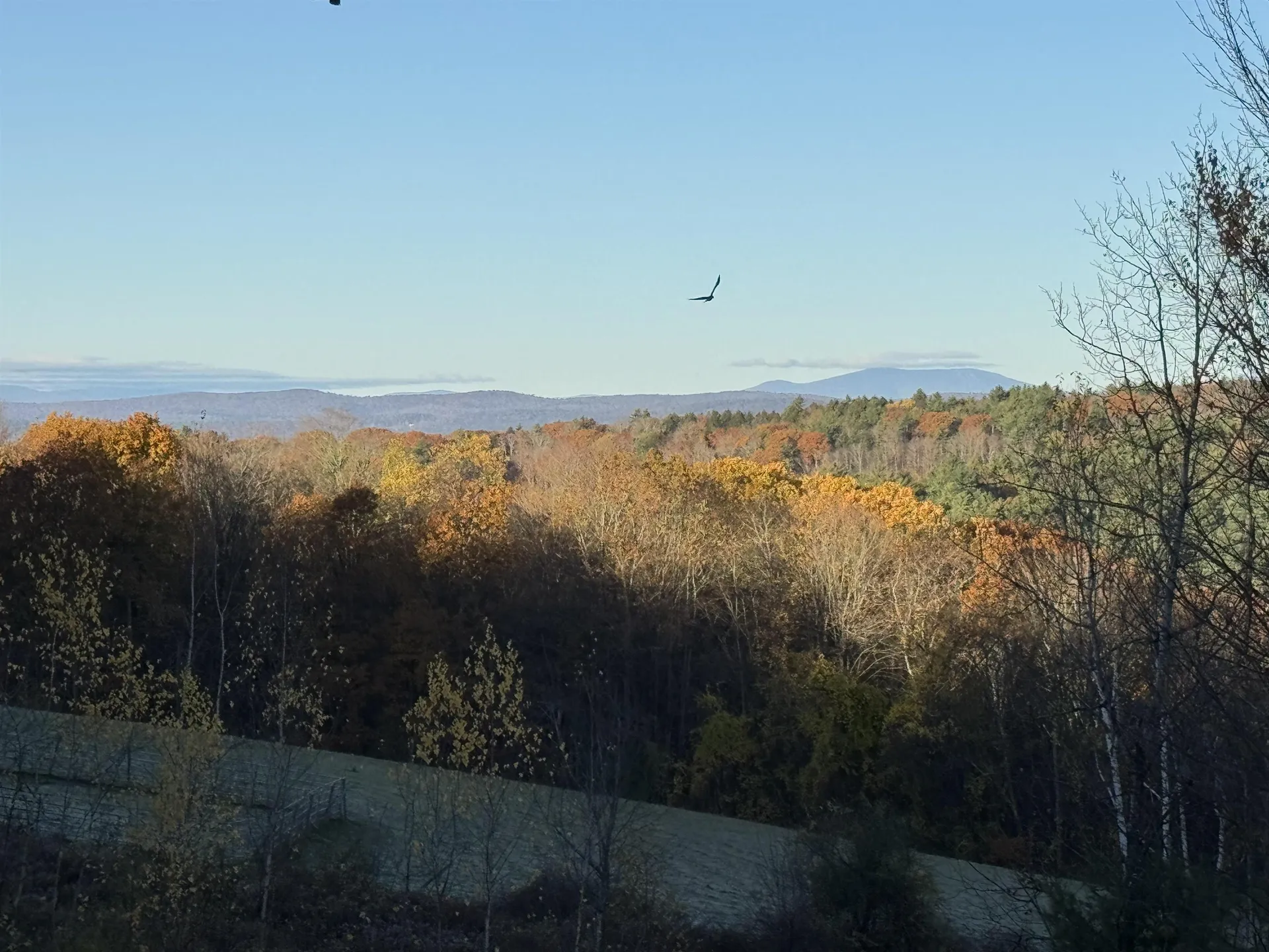 363 March Hill Road Walpole NH 03608