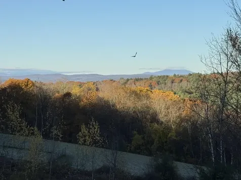 363 March Hill Road Walpole NH 03608