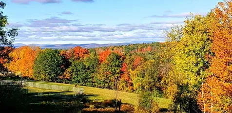 363 March Hill Road Walpole NH 03608