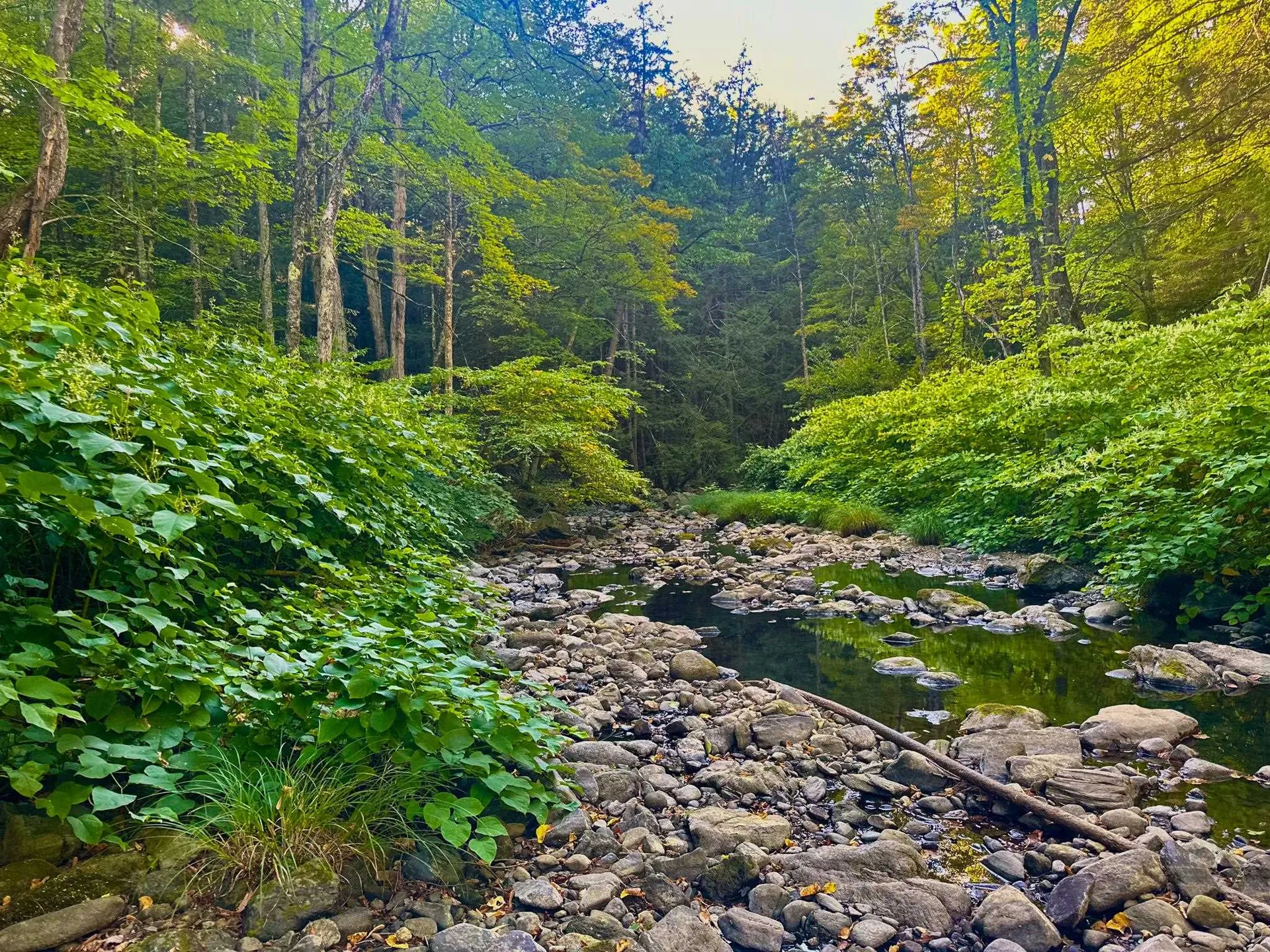 1041 Stage Road Plainfield NH 03781