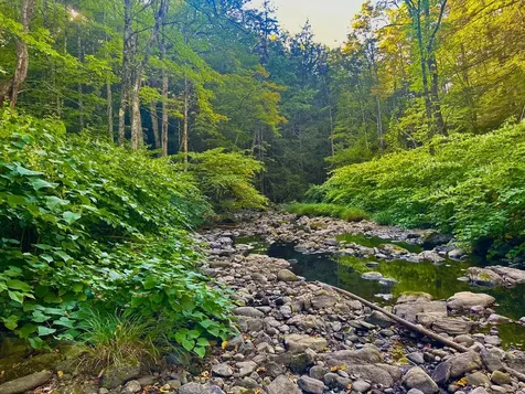 1041 Stage Road Plainfield NH 03781