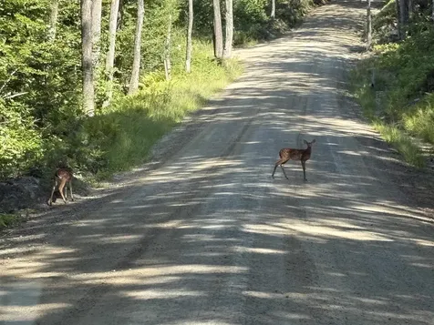 65 Tucker Mountain Road Meredith NH 03253