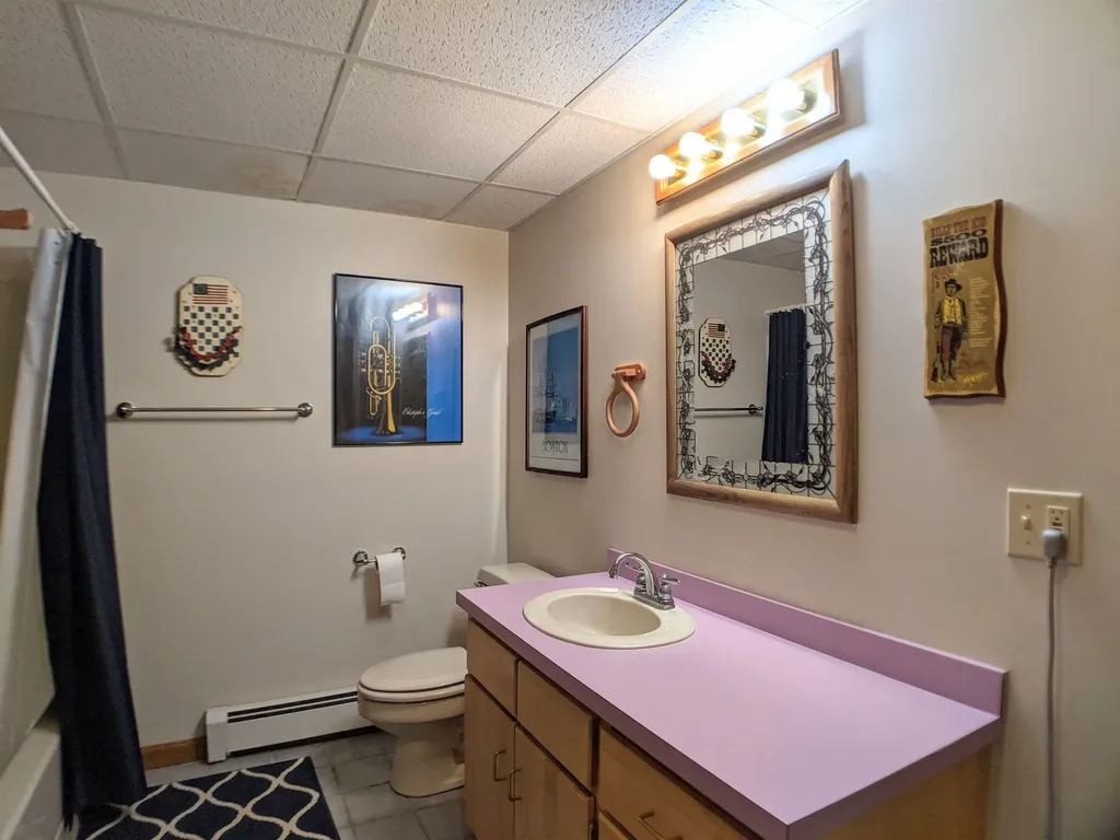 15 Homestead Lane Moultonborough NH 03254