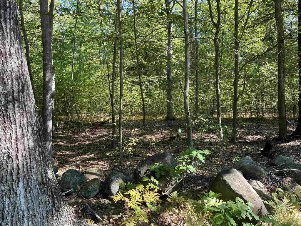 Farrington Corner Road Hopkinton NH 03229