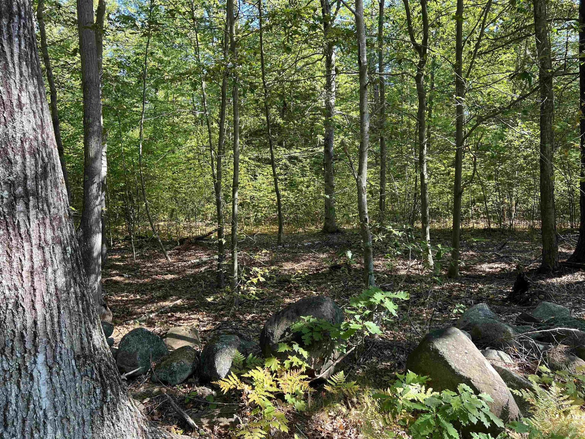 Farrington Corner Road Hopkinton NH 03229