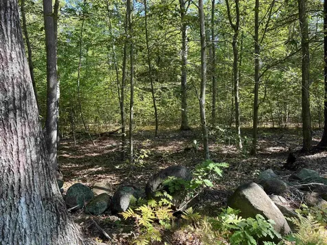 Farrington Corner Road Hopkinton NH 03229