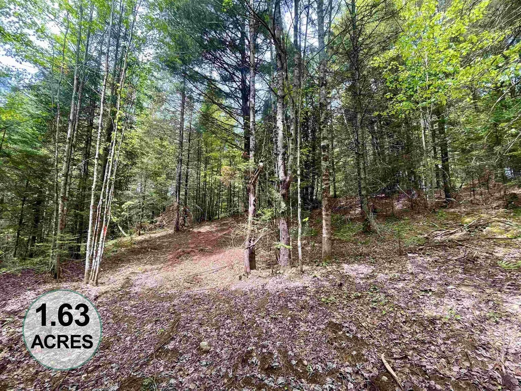 00 Marshall Newland Road Burke VT 05832