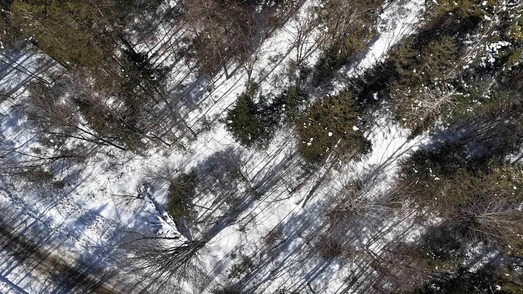 00 Marshall Newland Road Burke VT 05832