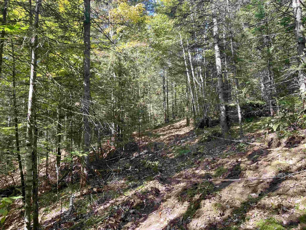 00 Marshall Newland Road Burke VT 05832