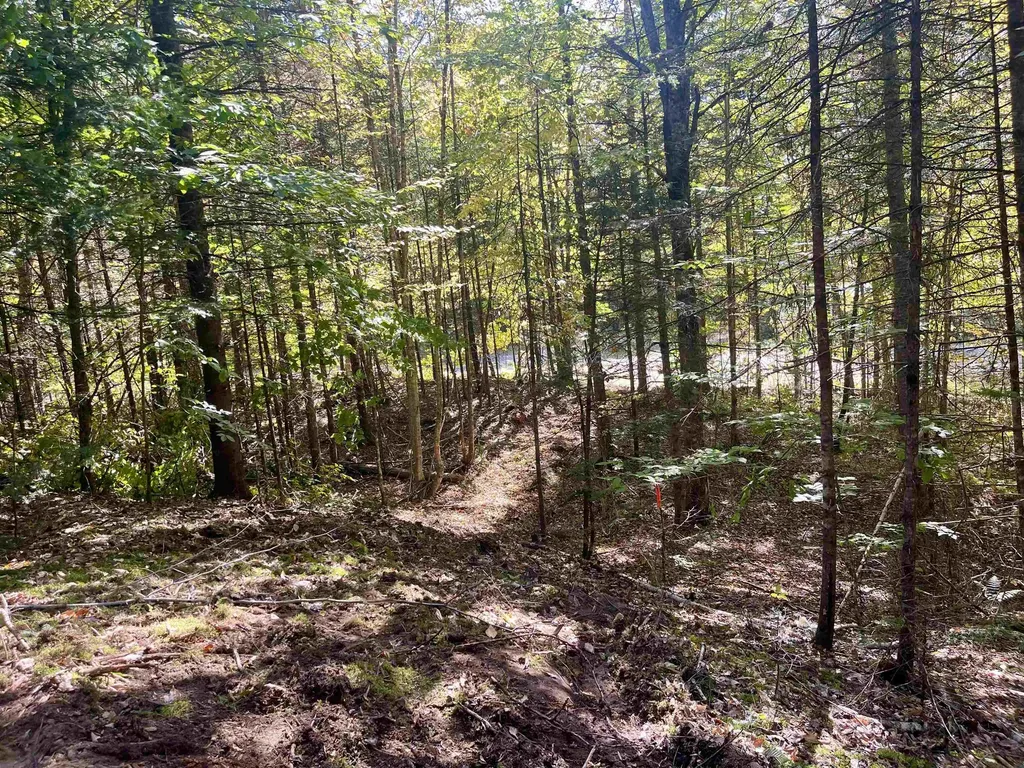 00 Marshall Newland Road Burke VT 05832