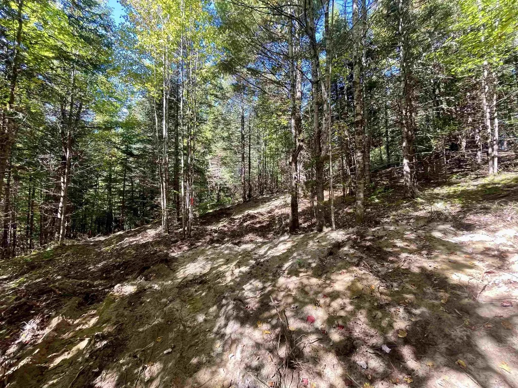 00 Marshall Newland Road Burke VT 05832