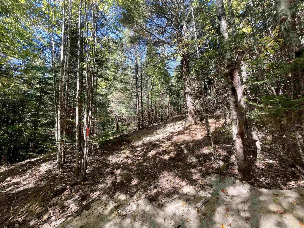 00 Marshall Newland Road Burke VT 05832