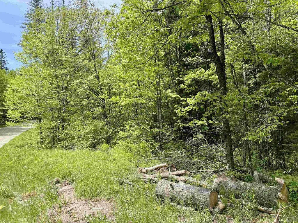 00 Marshall Newland Road Burke VT 05832