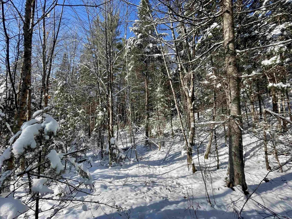 00 Marshall Newland Road Burke VT 05832