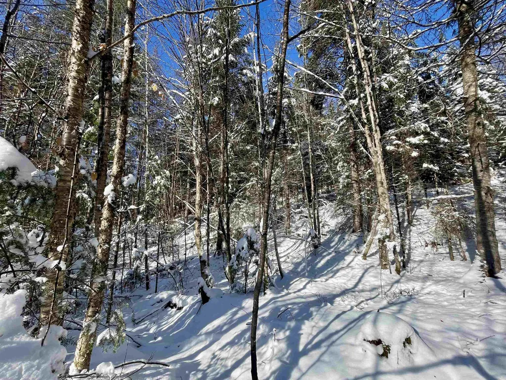 00 Marshall Newland Road Burke VT 05832