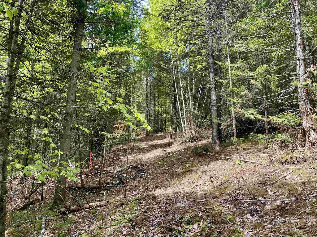 00 Marshall Newland Road Burke VT 05832