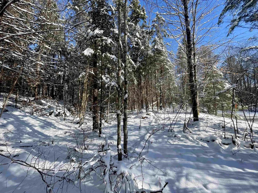 00 Marshall Newland Road Burke VT 05832