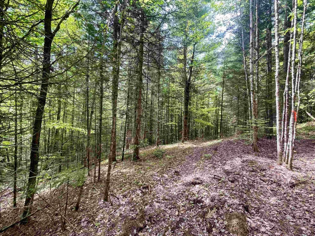 00 Marshall Newland Road Burke VT 05832