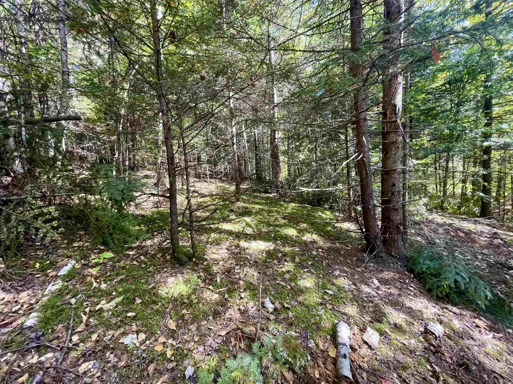 00 Marshall Newland Road Burke VT 05832