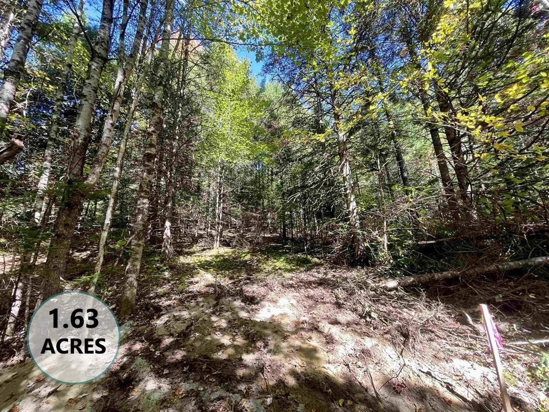 00 Marshall Newland Road Burke VT 05832