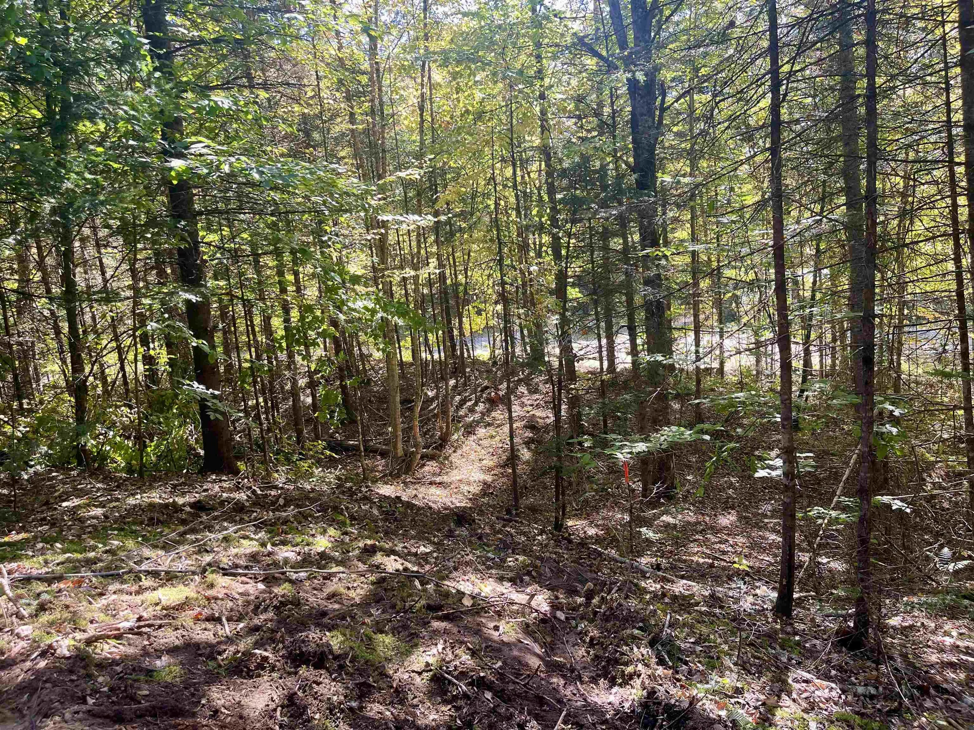 00 Marshall Newland Road Burke VT 05832