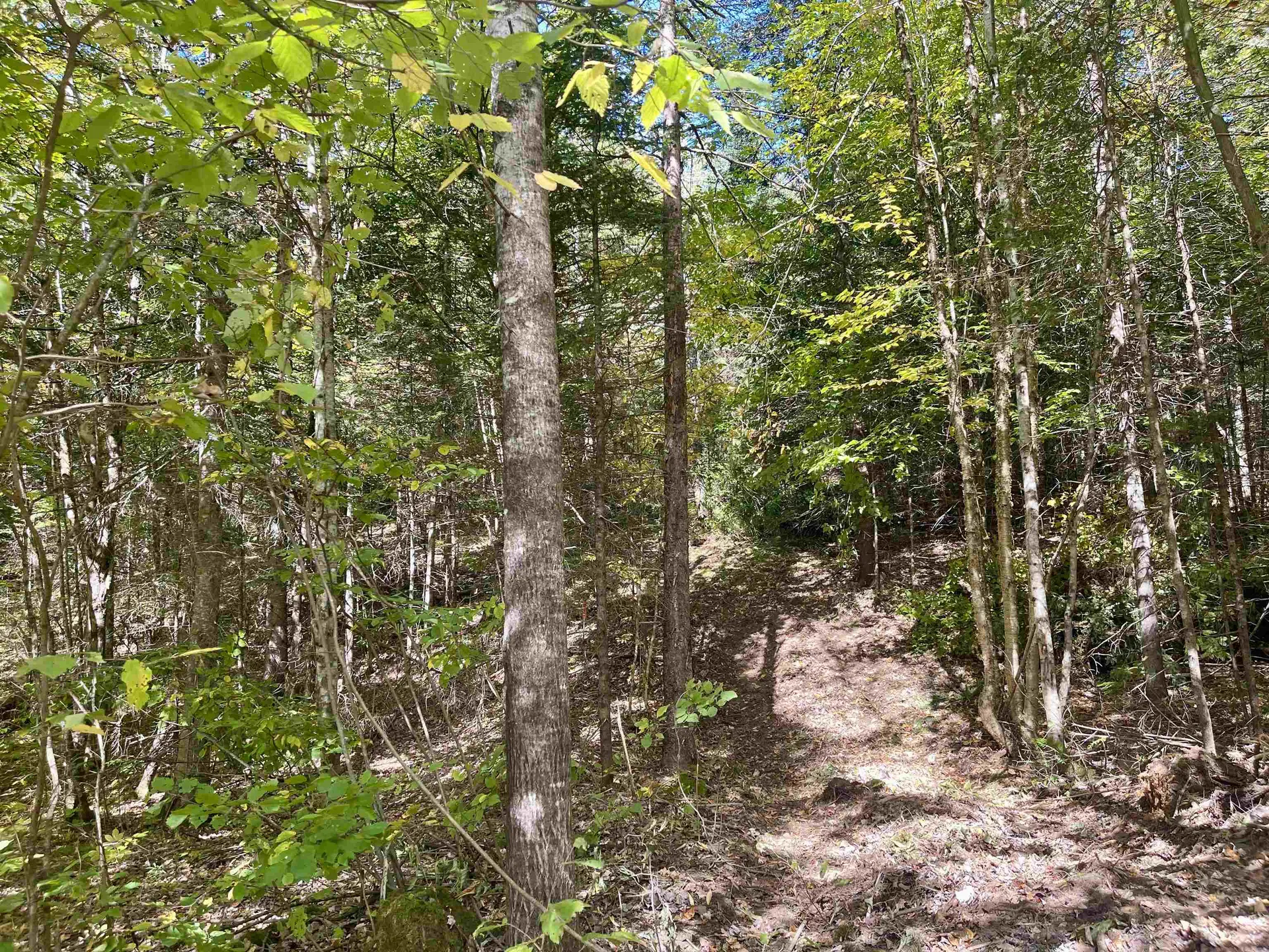 00 Marshall Newland Road Burke VT 05832