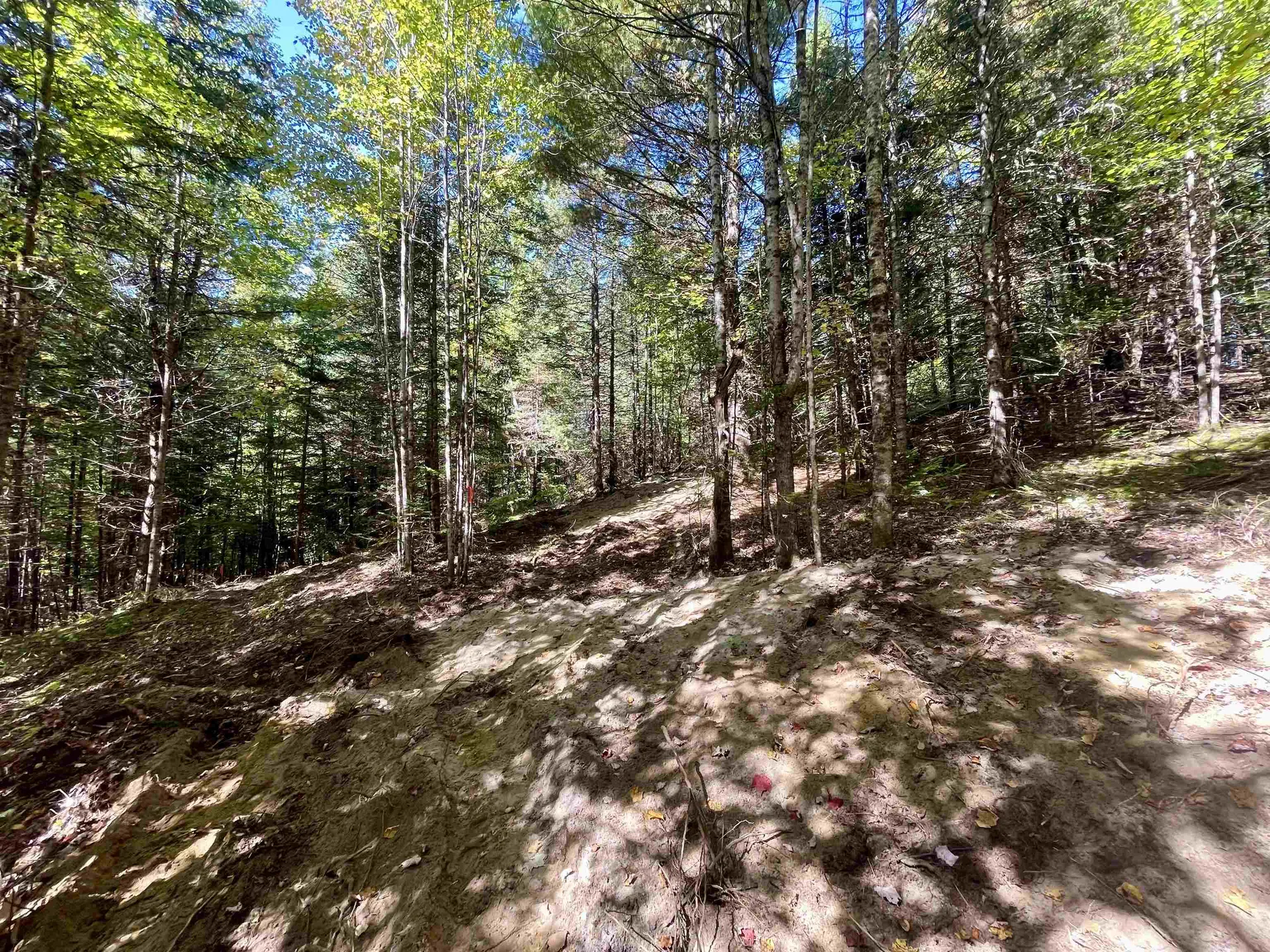 00 Marshall Newland Road Burke VT 05832