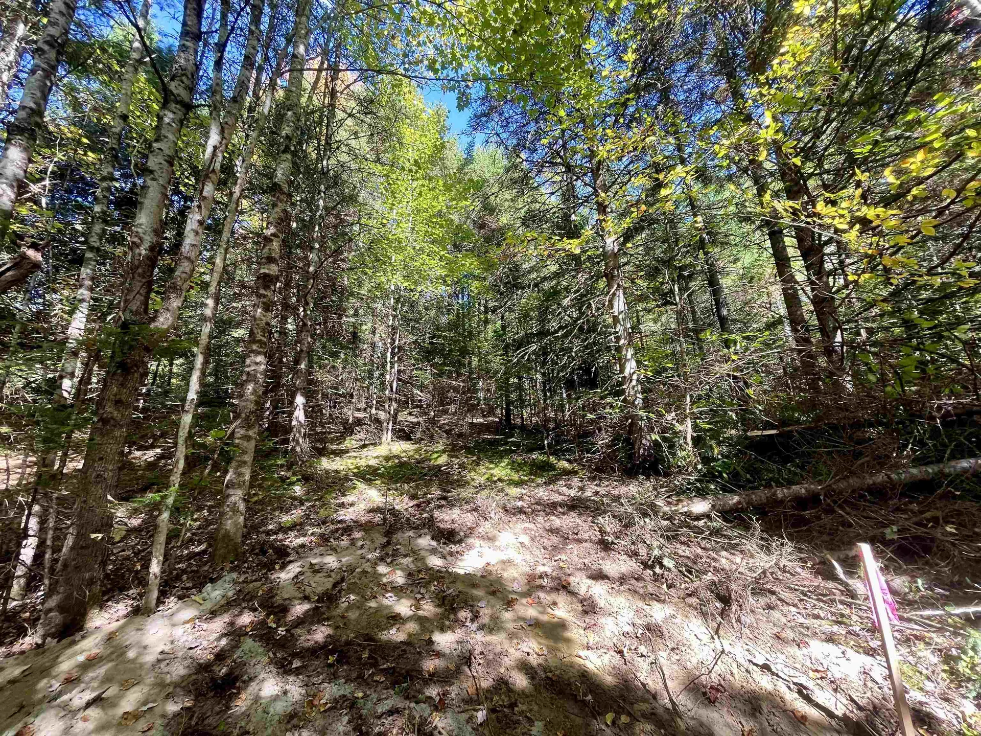 00 Marshall Newland Road Burke VT 05832