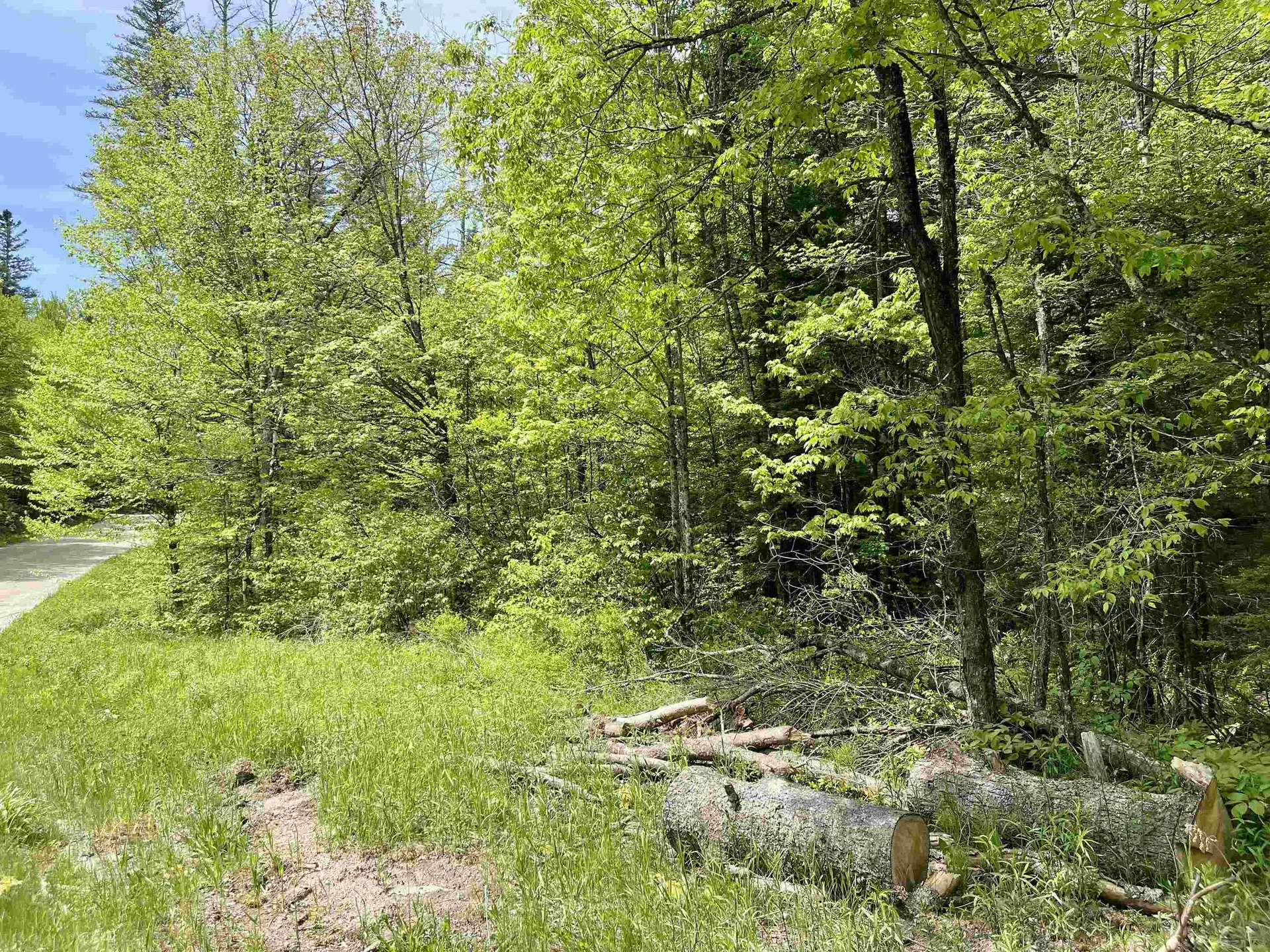 00 Marshall Newland Road Burke VT 05832
