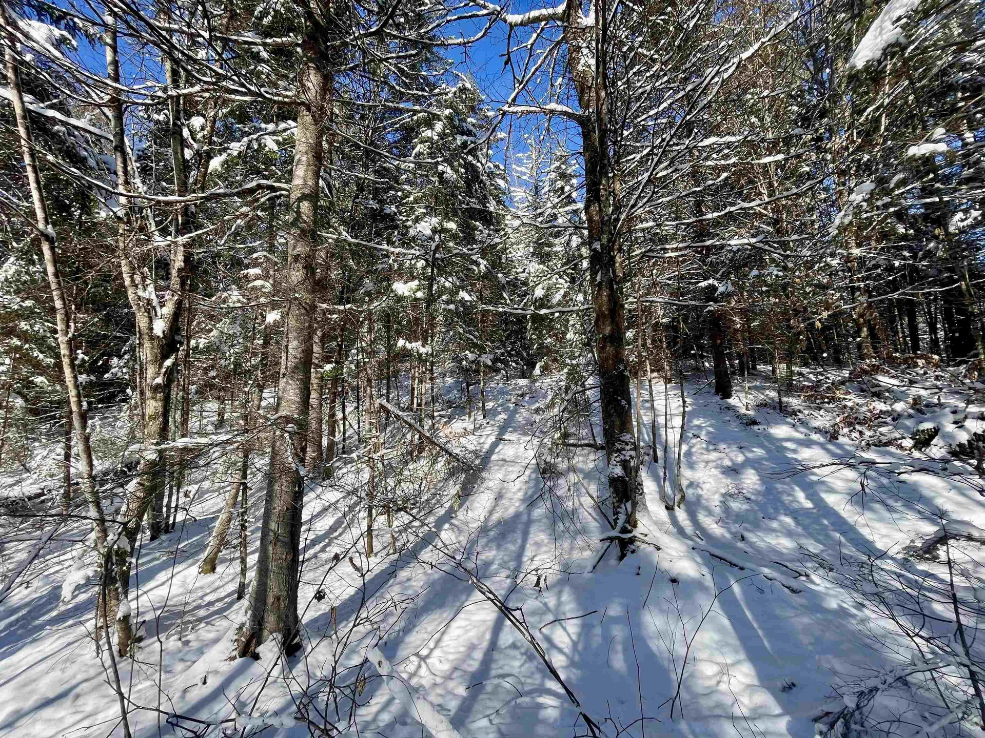 00 Marshall Newland Road Burke VT 05832