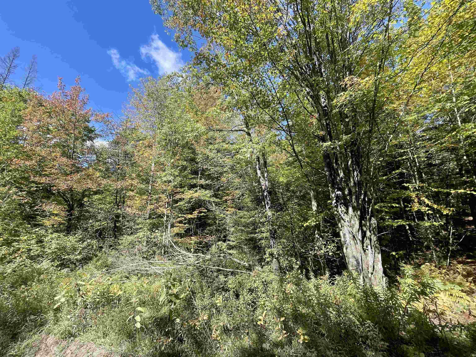 00 Marshall Newland Road Burke VT 05832