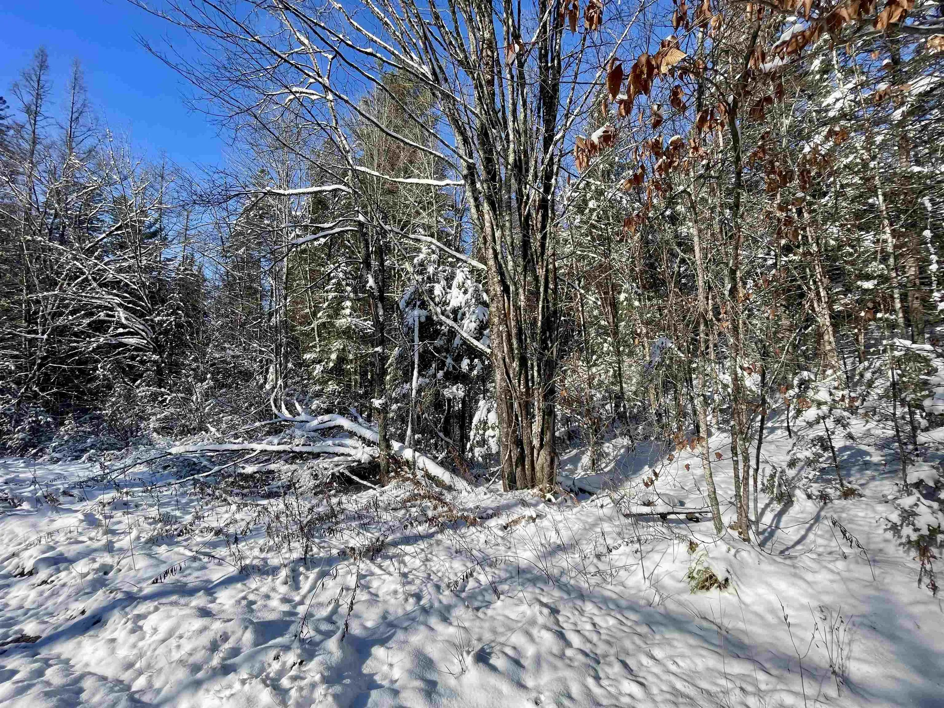 00 Marshall Newland Road Burke VT 05832