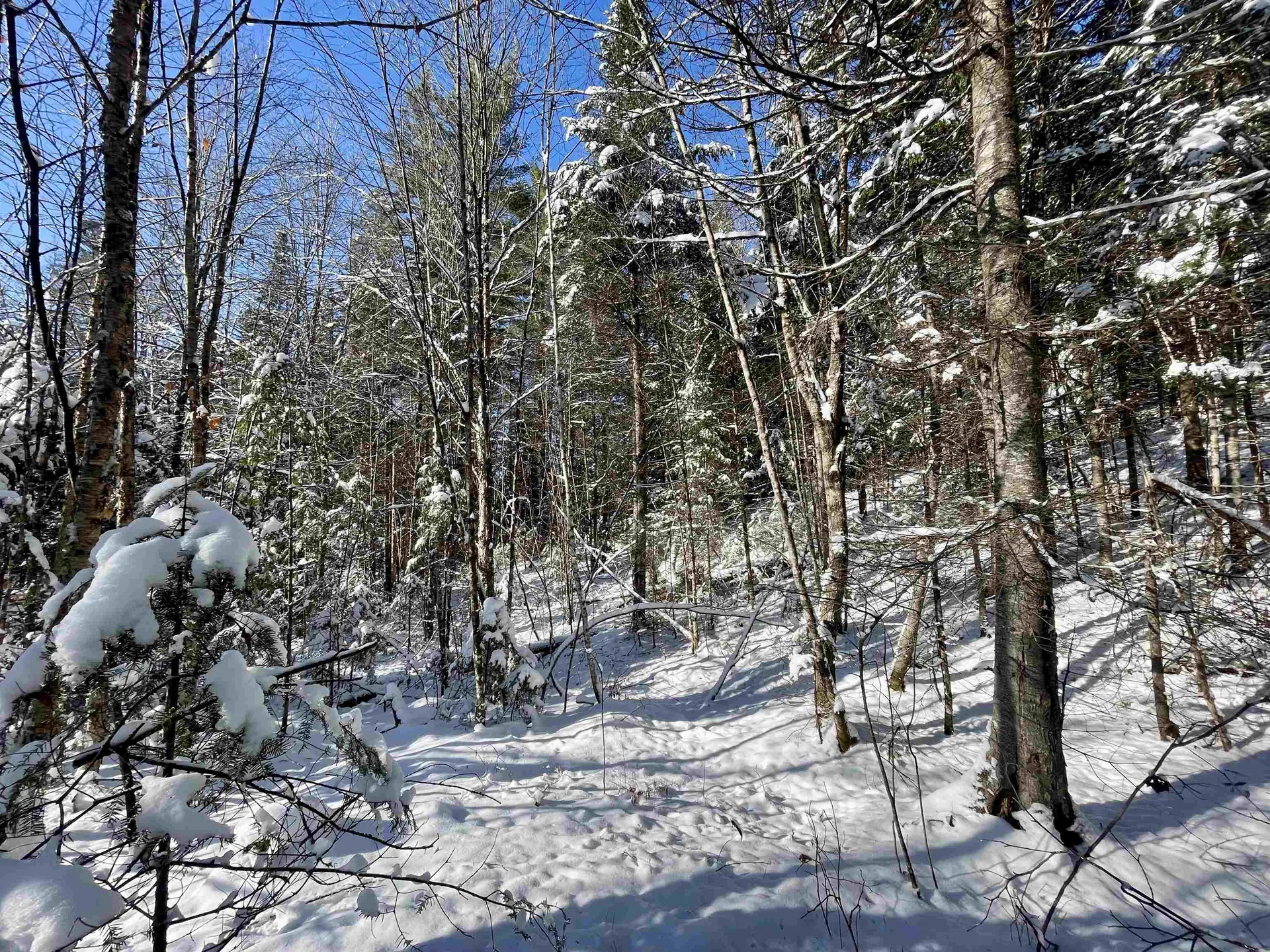 00 Marshall Newland Road Burke VT 05832