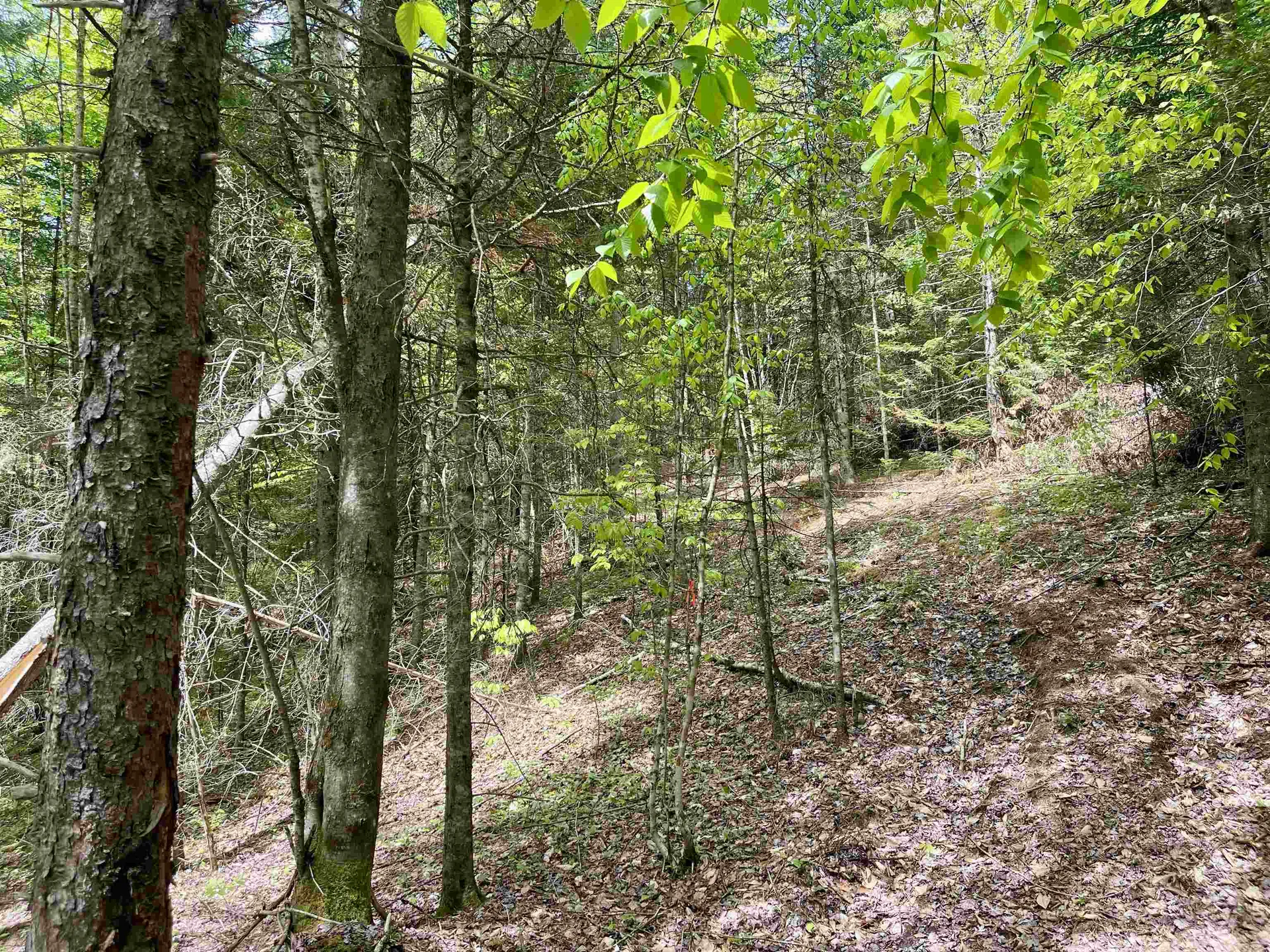 00 Marshall Newland Road Burke VT 05832