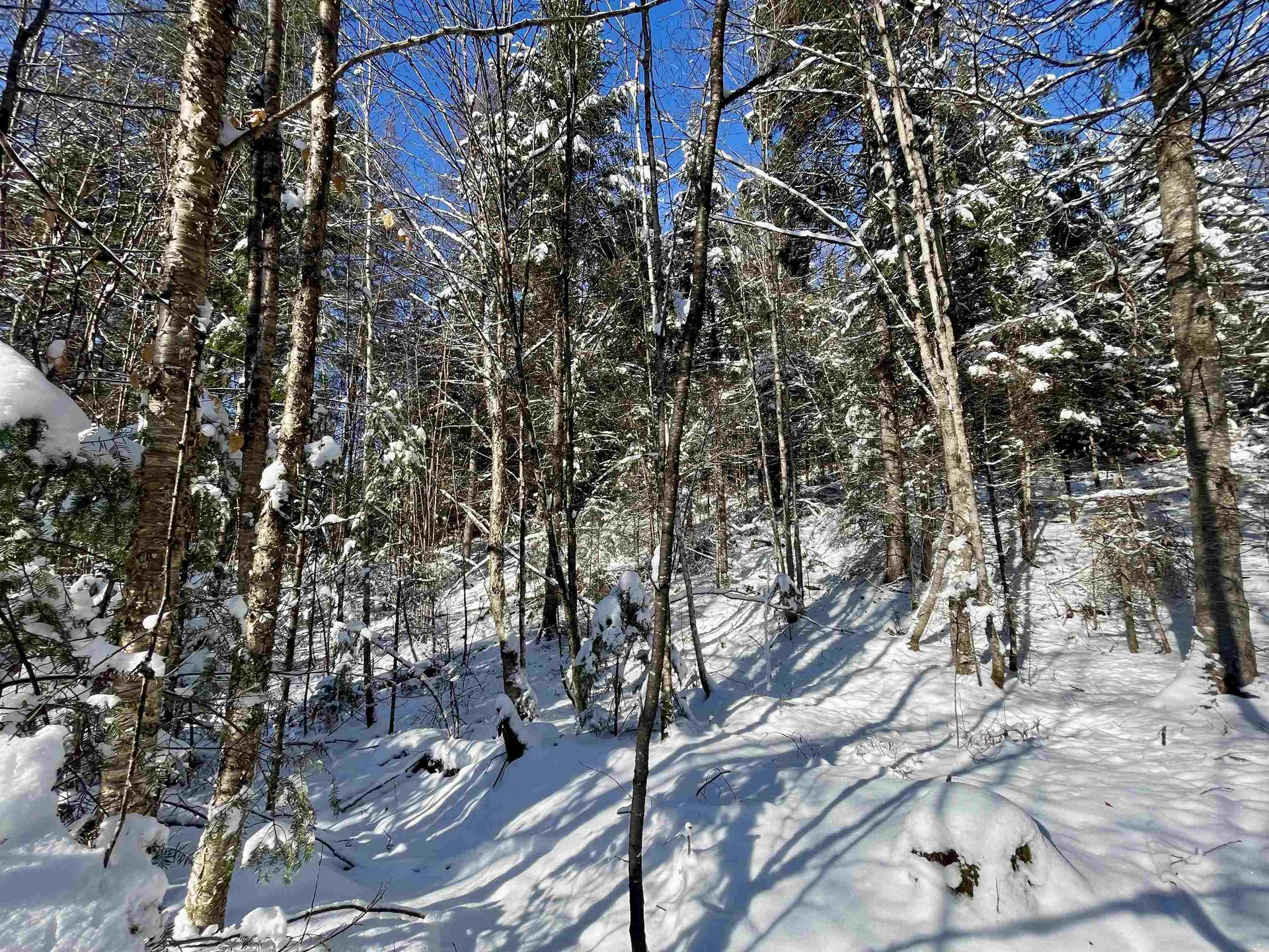 00 Marshall Newland Road Burke VT 05832