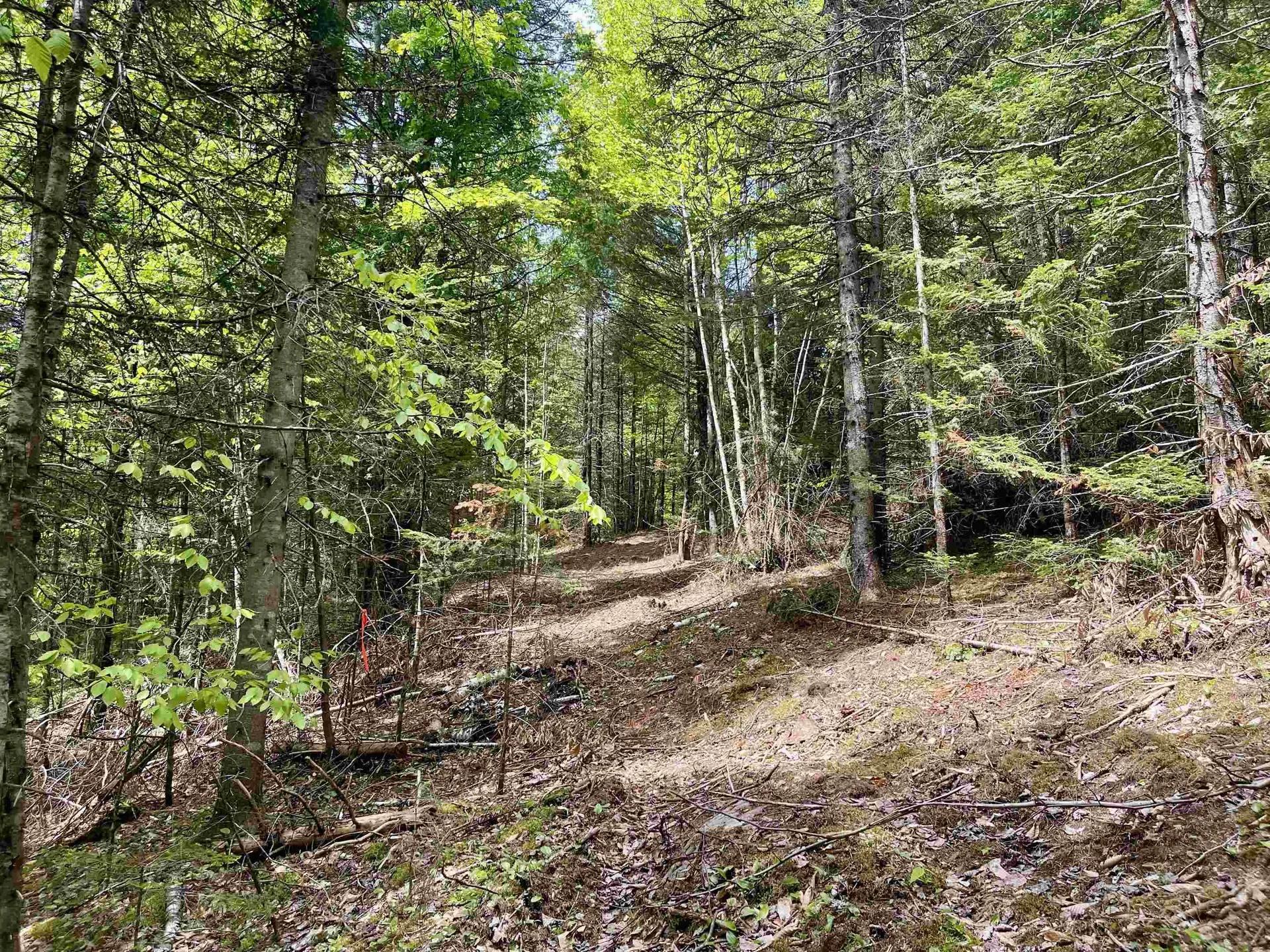00 Marshall Newland Road Burke VT 05832