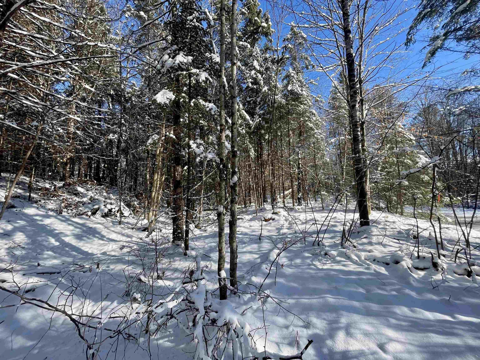 00 Marshall Newland Road Burke VT 05832