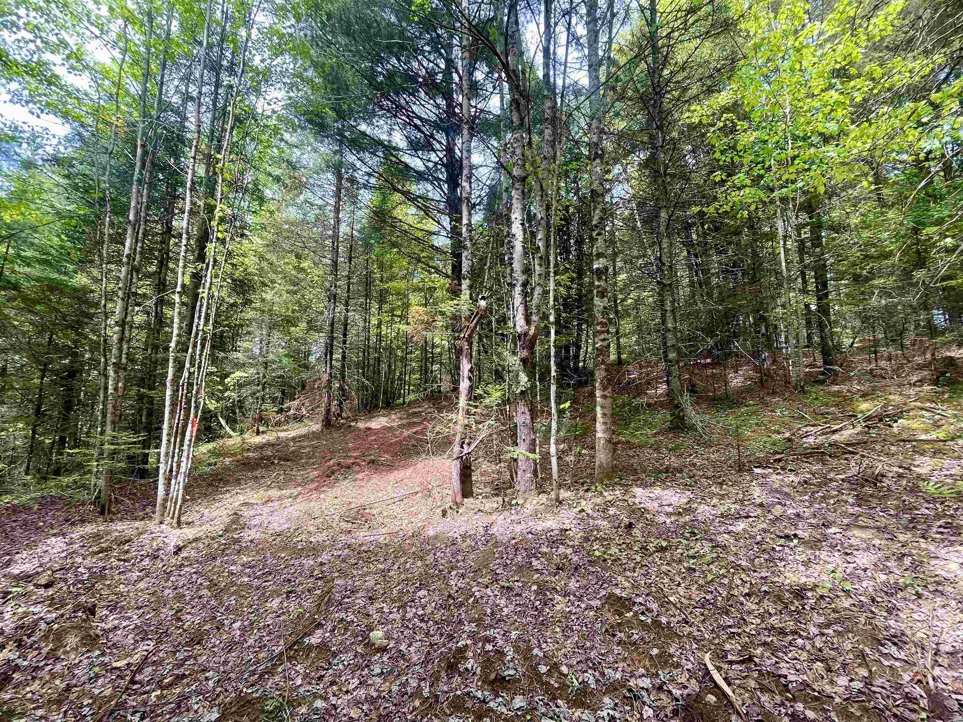 00 Marshall Newland Road Burke VT 05832